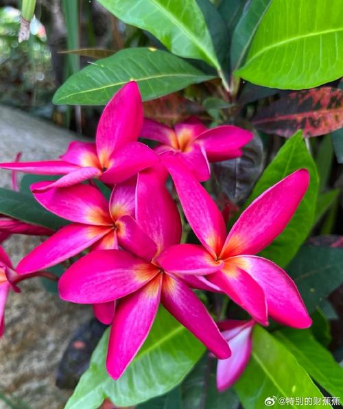 天天晚上做梦怎么办是什么意思 天天晚上做梦怎么办是什么意思