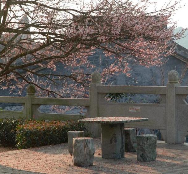 �������꼸��2025 ����Ľ��꼸��