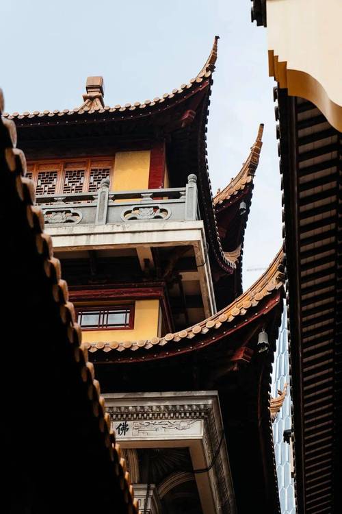 24�걾��������ʲô����