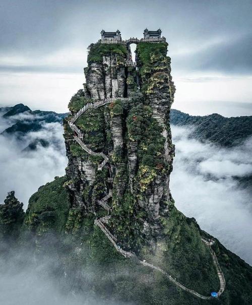 ����������Ա��������