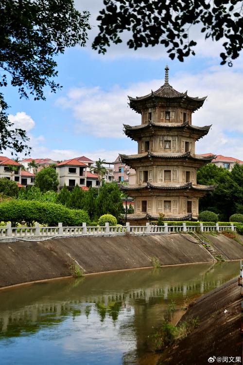 梦见野猫钻被窝是什么征兆 梦见野猫钻被窝是什么征兆