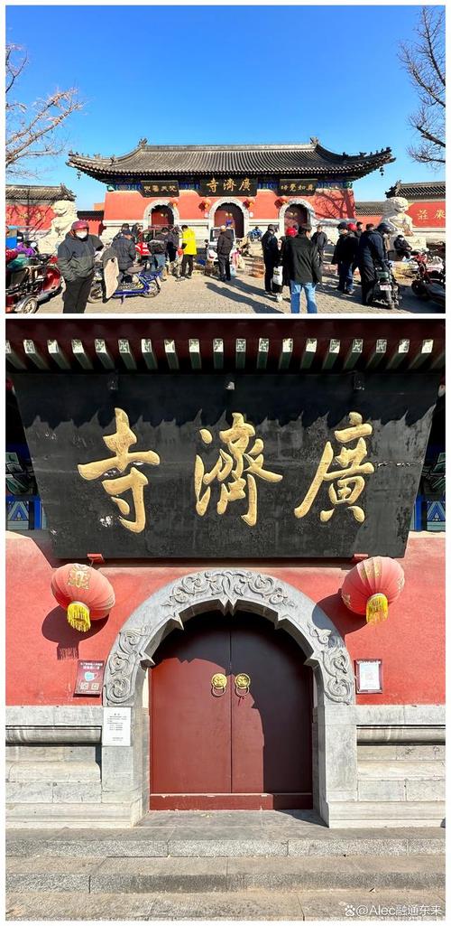 异乡归故乡的情感交织故乡研讨会解读时代情感纪事