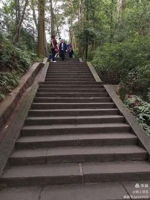 屈楚萧公开自己的尺寸豆瓣 屈楚萧公开自己的尺寸豆瓣