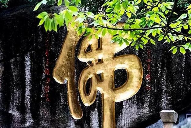 ��ţ��2025�������˳�