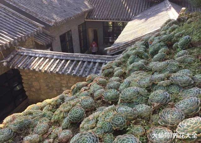 ʮ����Ф����ݺ��Ը��ص�