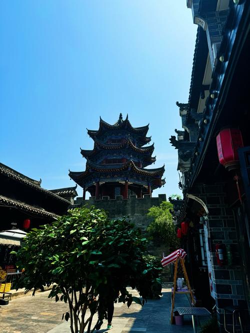 处女座生日花 处女座生日花