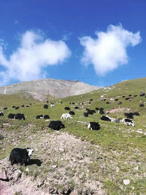 ����12�³�һʲô���� ũ��ʮ���³�һ����ʲô����