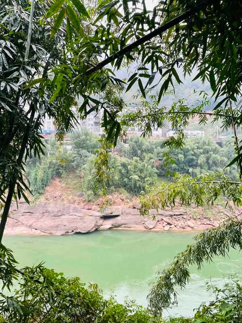 广饶一只王烁 广饶大王一条鱼餐馆 广饶一只王烁 广饶大王一条鱼餐馆