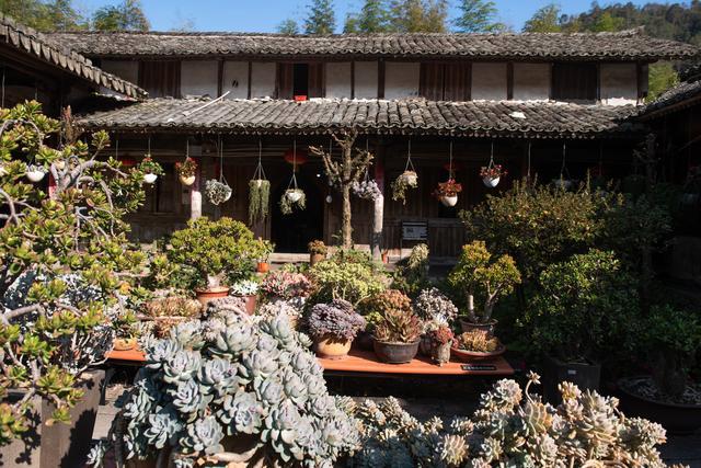 武则天简介及人生经历武则天历史资料简介 武则天简介及人生经历武则天历史资料简介