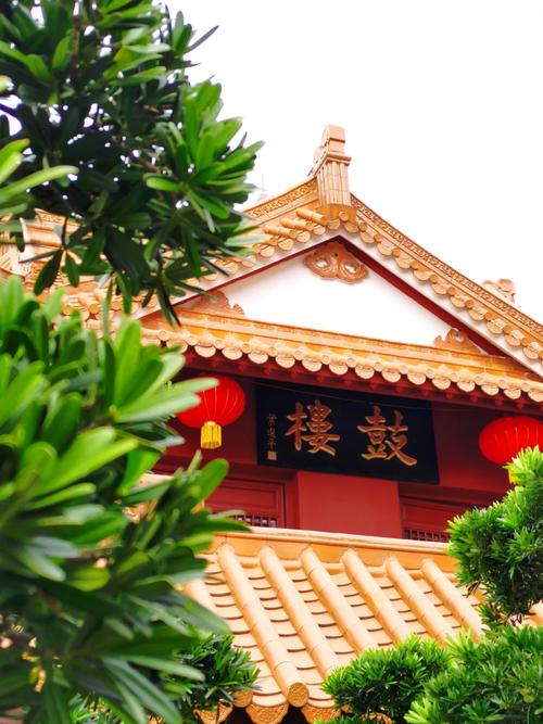 �ļ�������� �ļ��������MV