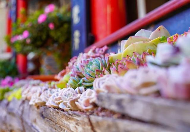 6月28日-7月4日娜迪亚一周星座运 6月28日-7月4日娜迪亚一周星座运