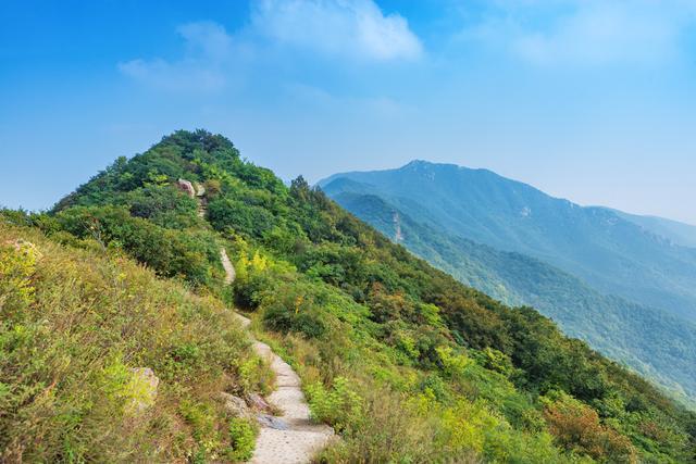 ����֮·2006���Ӱ