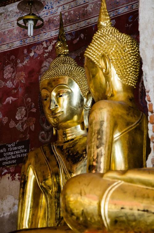 有书涂梦珊声播课是圈钱的吗?怎么加入涂梦珊 有书涂梦珊声播课是圈钱的吗?怎么加入涂梦珊