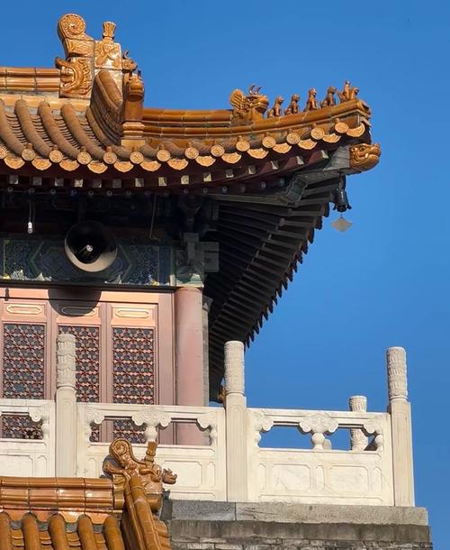 怎样与属鸡的人相处 怎样与属鸡的人相处