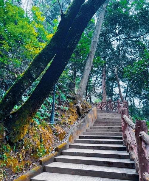 ������������ ��������