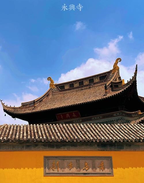 ��ţ�����õĻ��������� ��ţ�ĺ����õ��ʺϻ�������