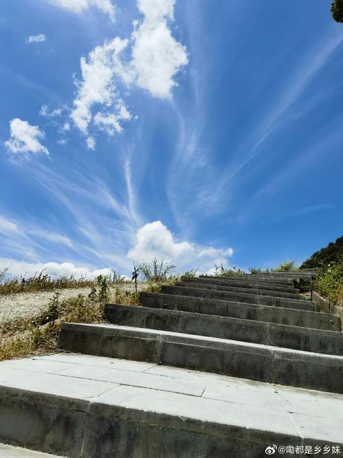 2025��ͬ�������������