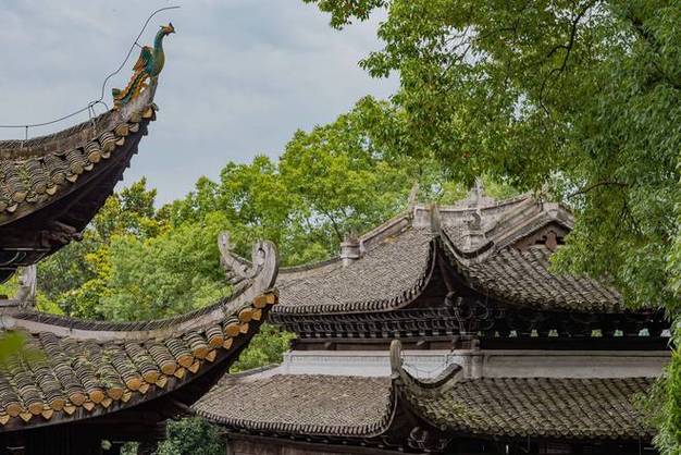冰雨火电视剧 冰雨火电视剧下载 冰雨火电视剧 冰雨火电视剧下载