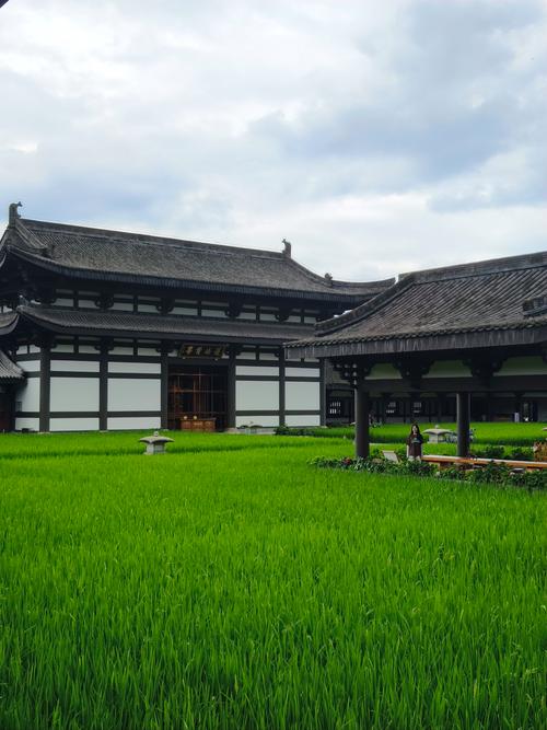 ��ο��������Ʒ���