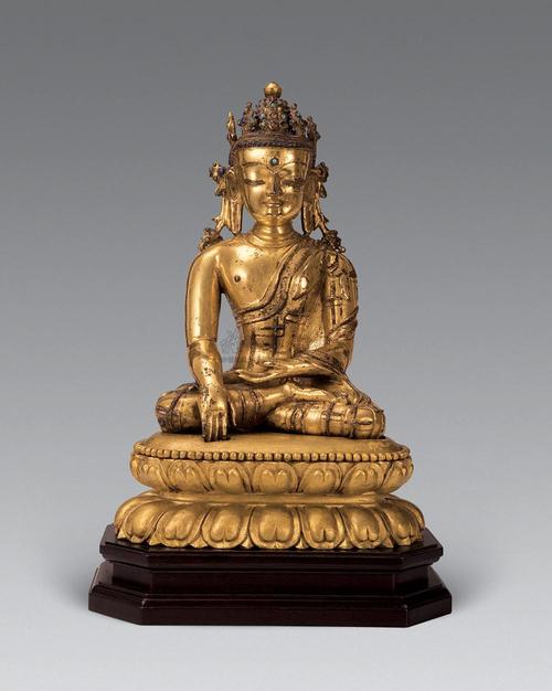 ׷Ů������������