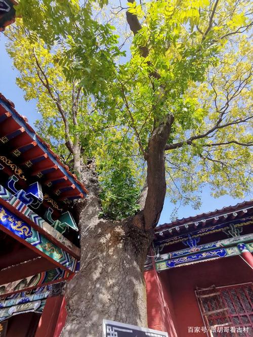 �����񶨾�   �Ͼ�