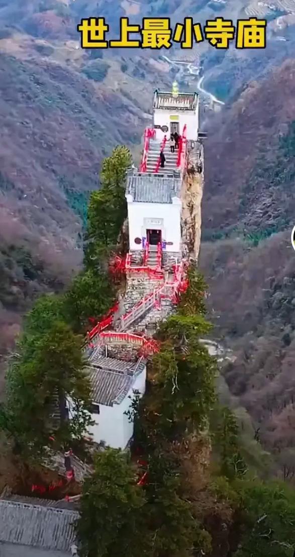 综艺节目我型我秀到底捧红了谁? 综艺节目我型我秀到底捧红了谁?