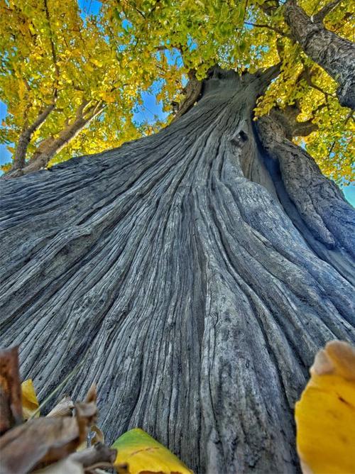 糟蹋你的人面相 糟蹋你的人面相