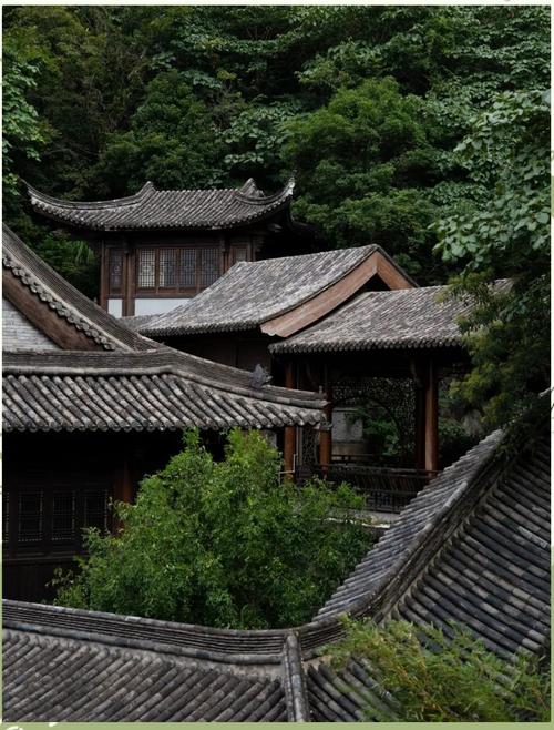 ����ݹ��ĵ��Ӿ����