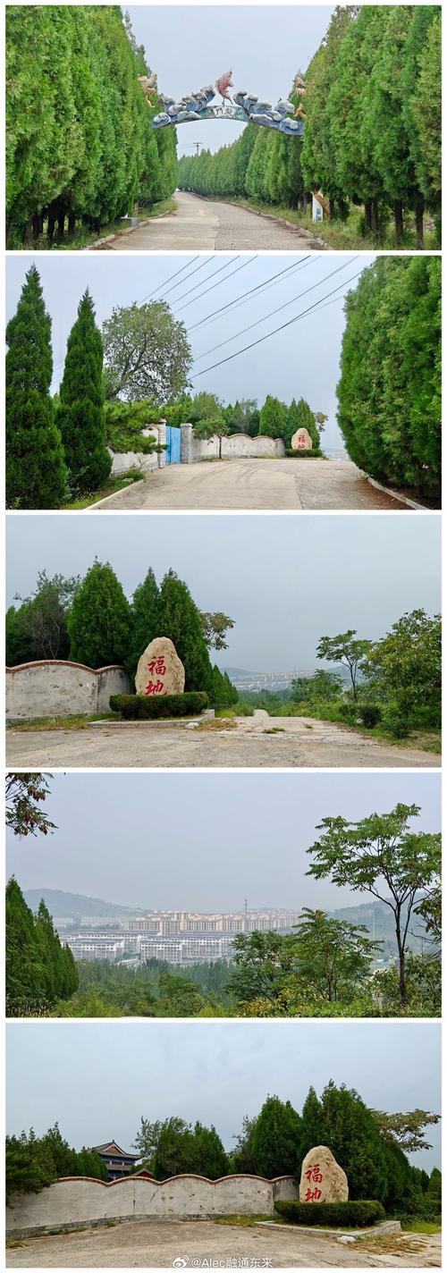 ��ñ���ǹ���,��ñ���ǹ���������Ƶ