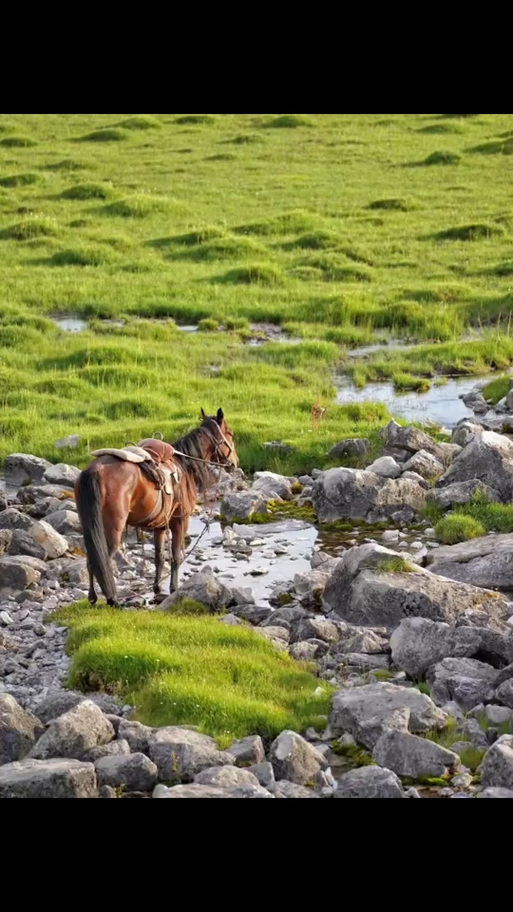 ��������������ʽ(������ô��)