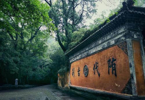 属猪的都是什么年龄 属猪都是哪一年出生 属猪的都是什么年龄 属猪都是哪一年出生