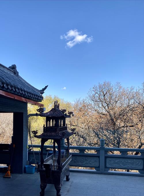 ʮ����Ф�� �����ĺ�ʲô�����������а����