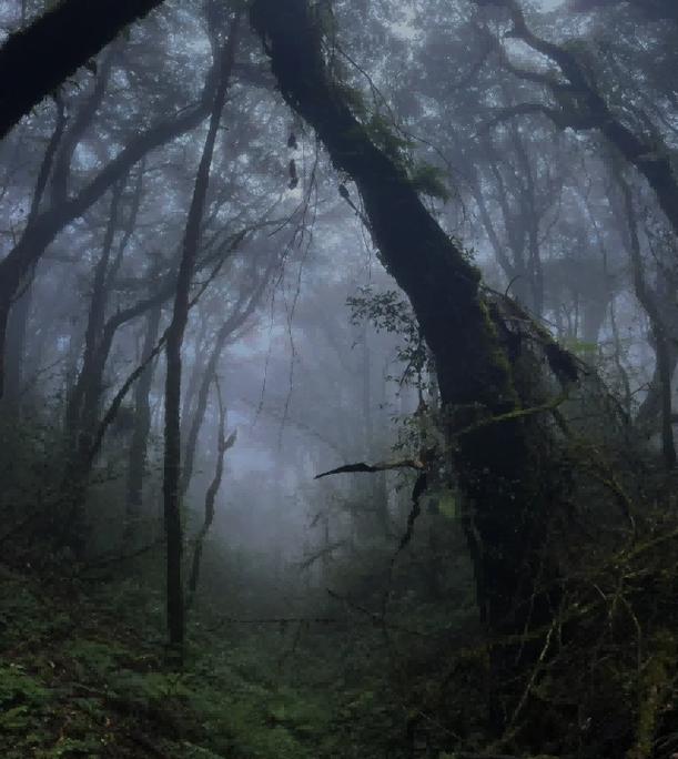 ���ߵ���ת�˷���