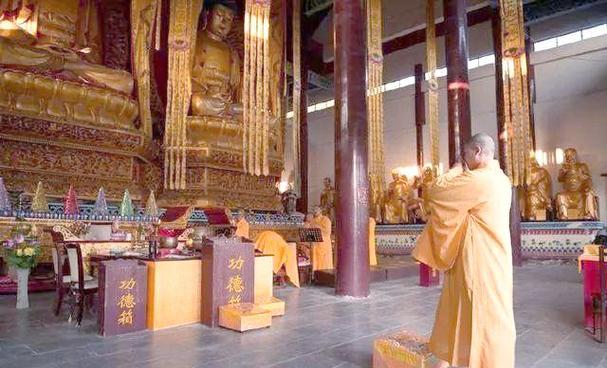 ��Ы7�·ݵ�����2025 ��Ы��7�·ݵ�������ô��