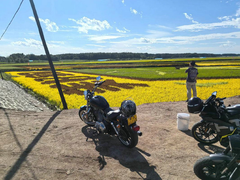 л����һ���ɷ���˭ л�����ɷ�