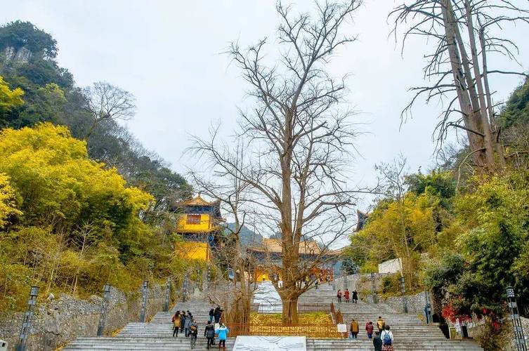 哪种楼层的房屋风水好 哪种楼层的房屋风水好