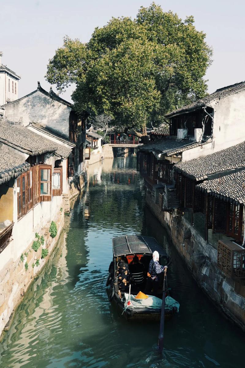 ������Ա������ڵ����