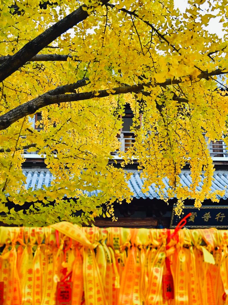 1993��������ʲô��,1993������˵�����