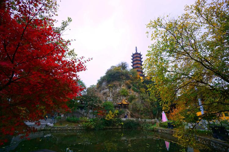 ���������ݵĵ��Ӿ�_���ջ������������ݵĵ��Ӿ�