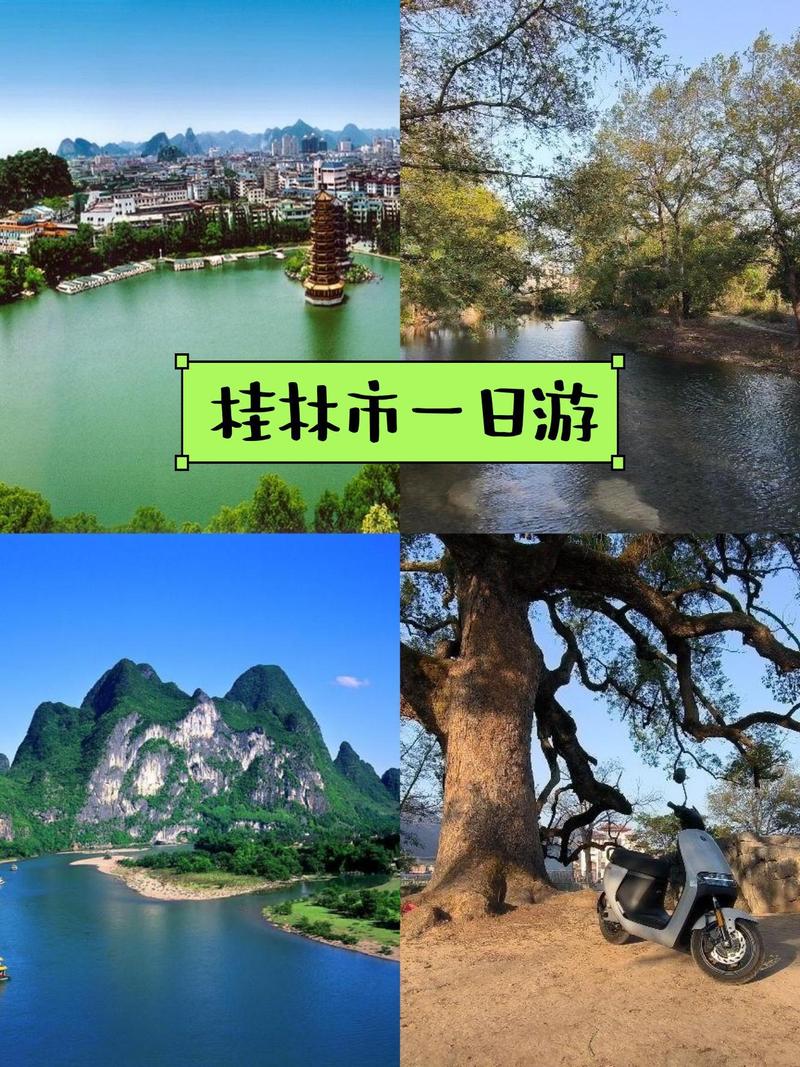 ��������ӽ��������(��ӽ���ĸ���Ŀ��������)