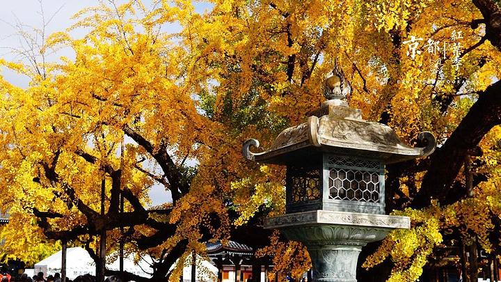 11��27��������������