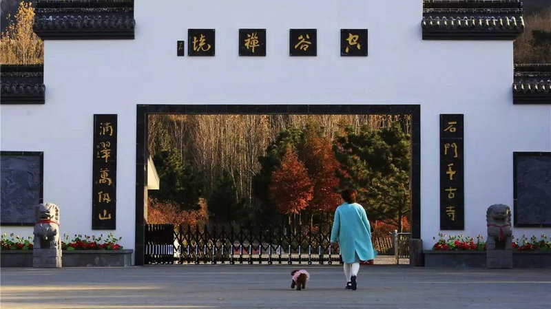 ������Ϊ�����������Ҫ�һ����е�