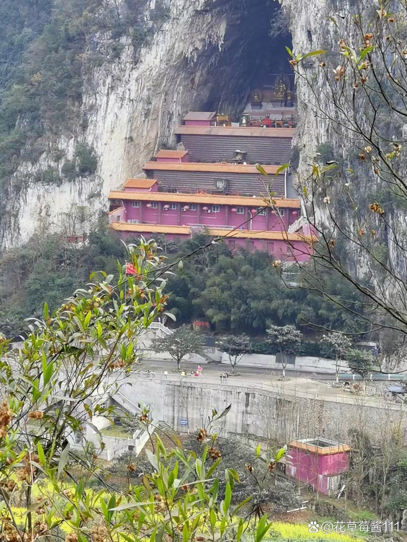 ����ţ������ձ�2025 ʮ����Ф���ѻ����