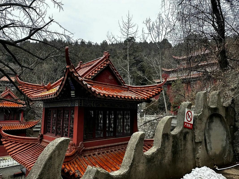 �μ������������İְ�