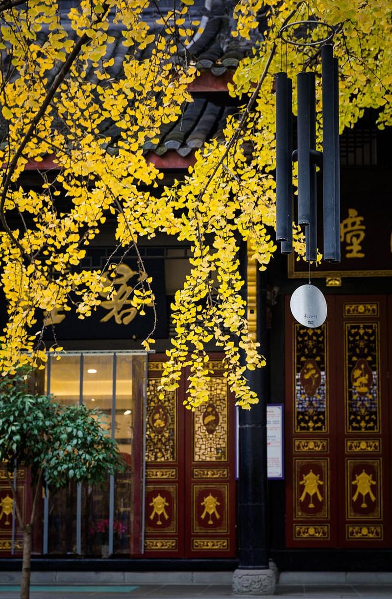 2025��8��3�ձ�������������ʾ