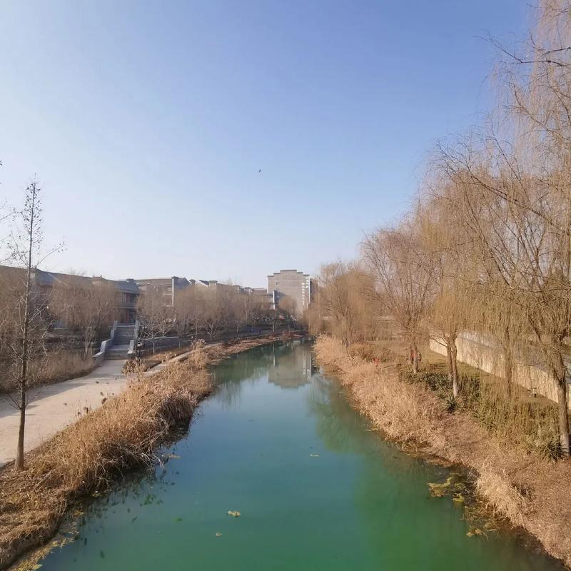 7月19日星座出生命运 7月19日星座出生命运