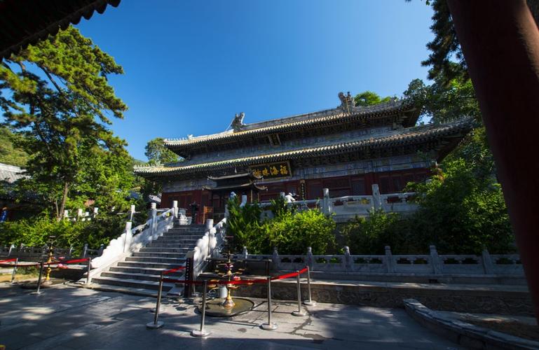 Ԭӽ�ǵ��ɷ���˭ Ԭӽ�ǵ��Ϲ�