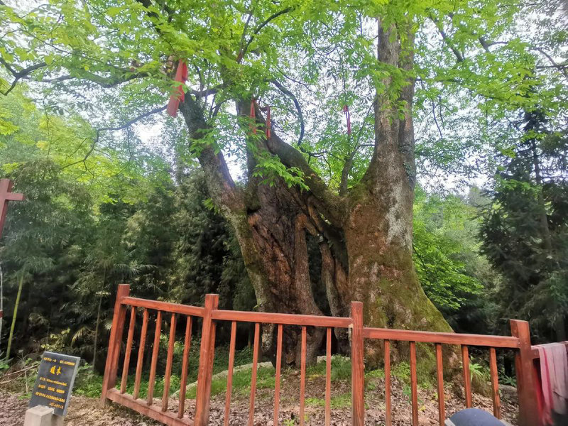 ��¥����ˮ�ڼ�