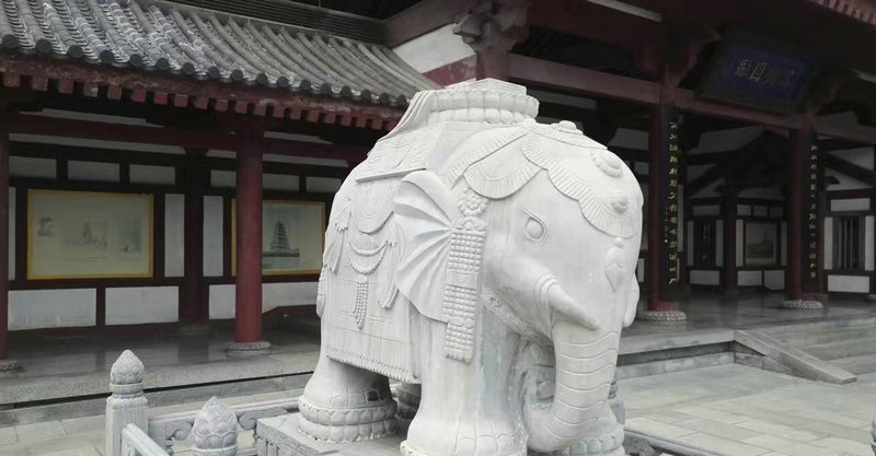 ��֪������������(������������)