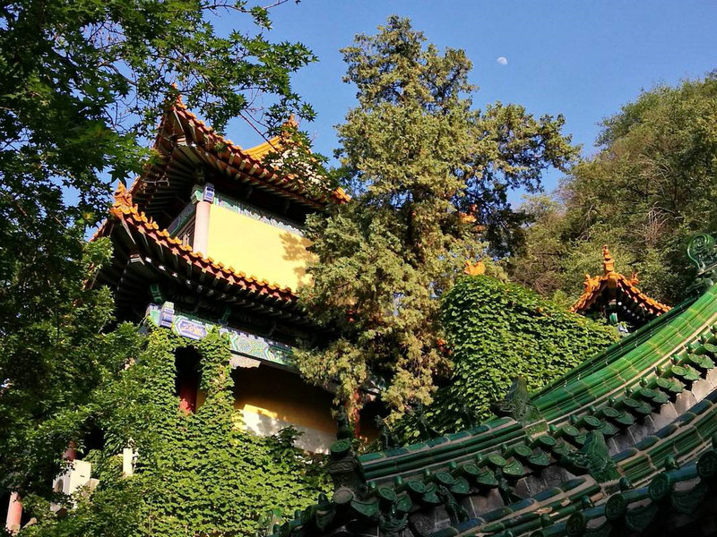 ʮ����Ф������������ ʮ����Ф��Ů�����